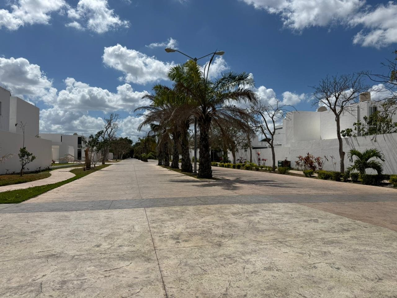Royal del Parque