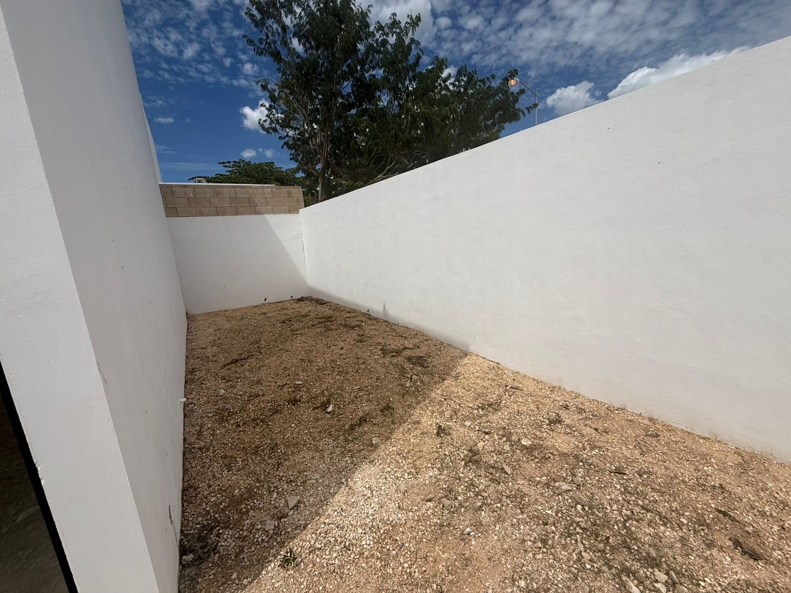 Royal del Parque — 10