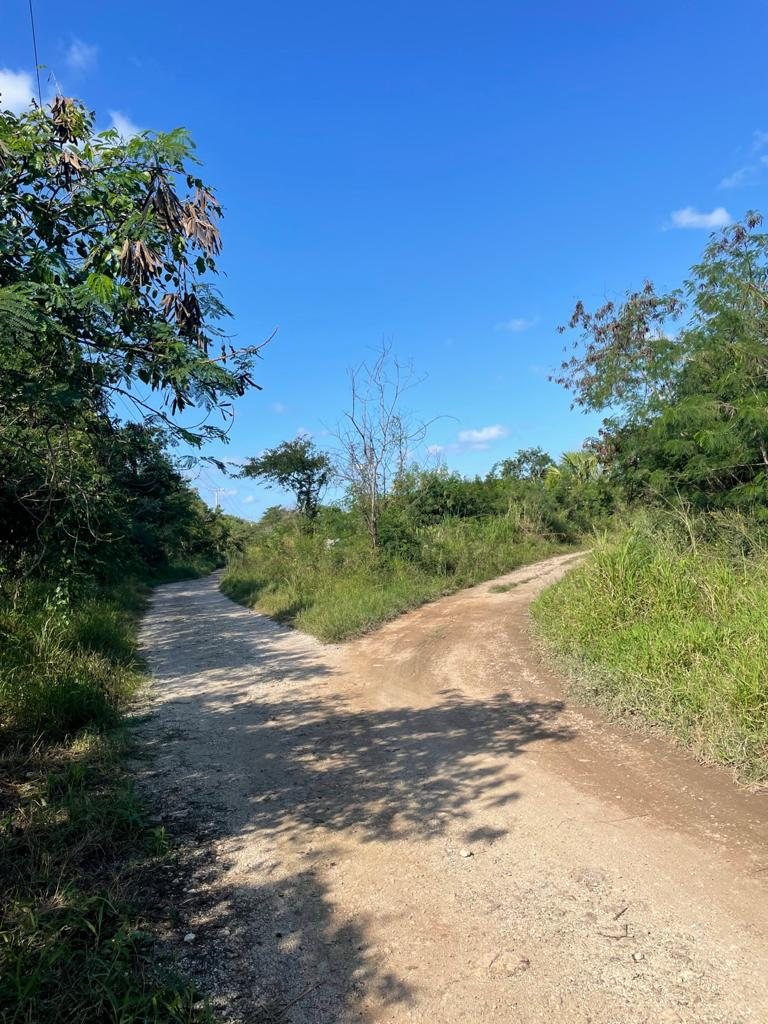 Mocochá — 5