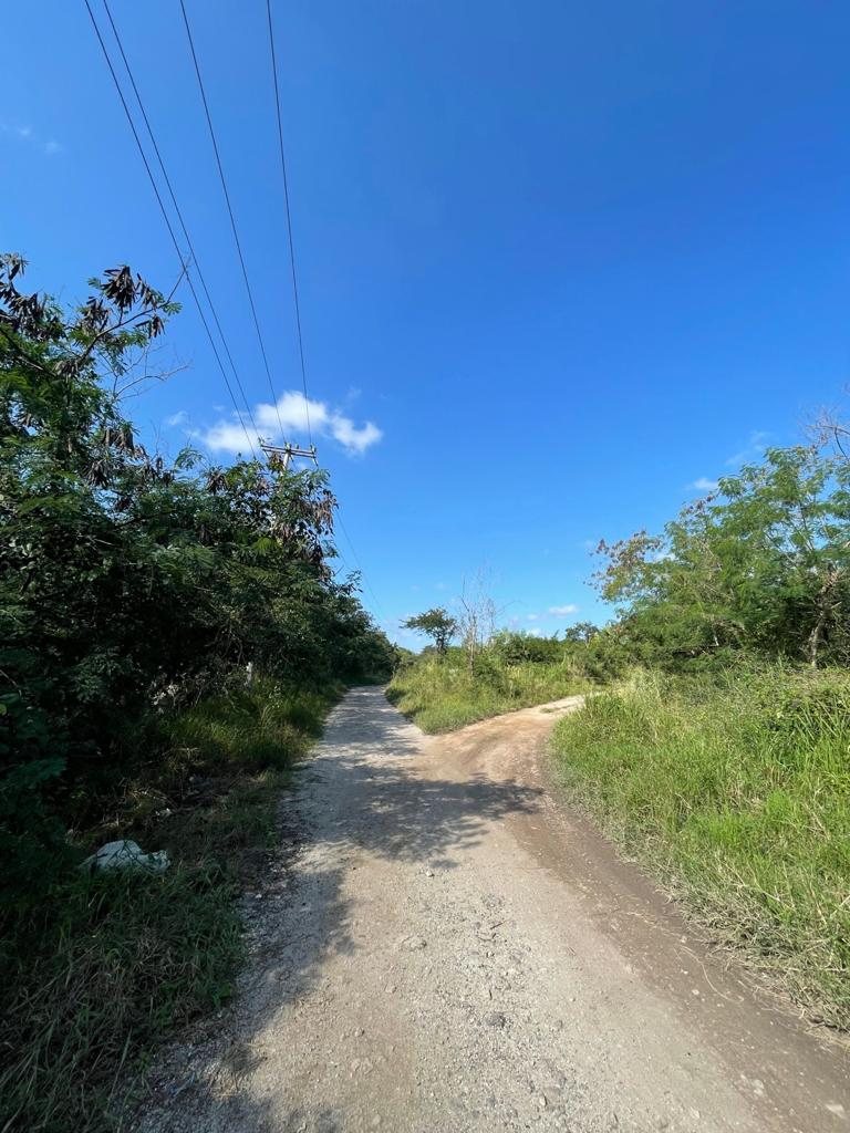 Mocochá — 6