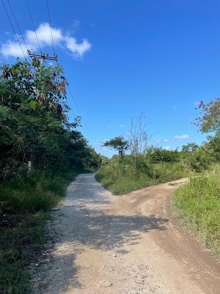 Mocochá — 7