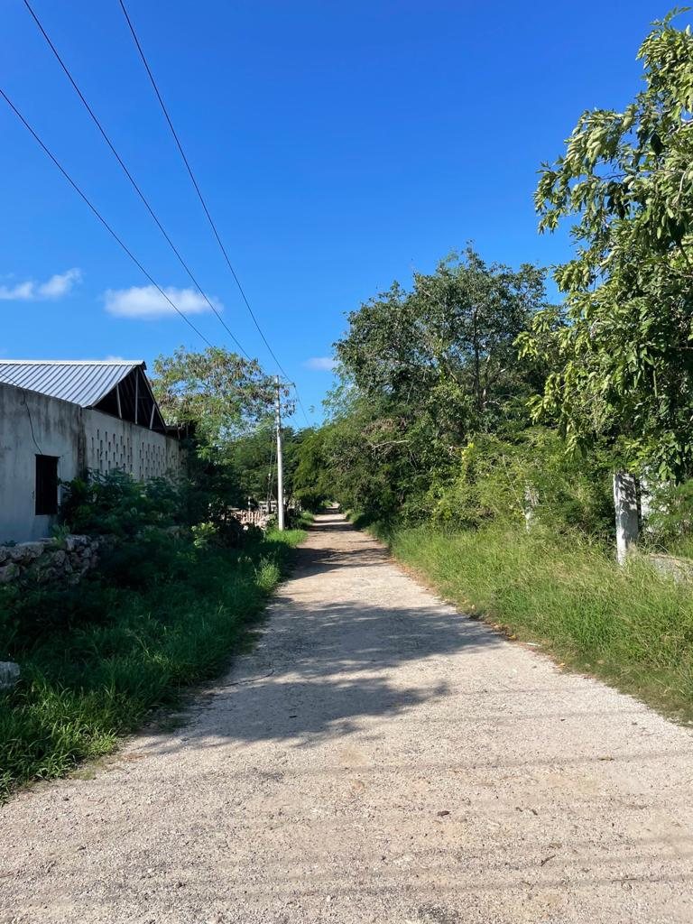 Mocochá — 10