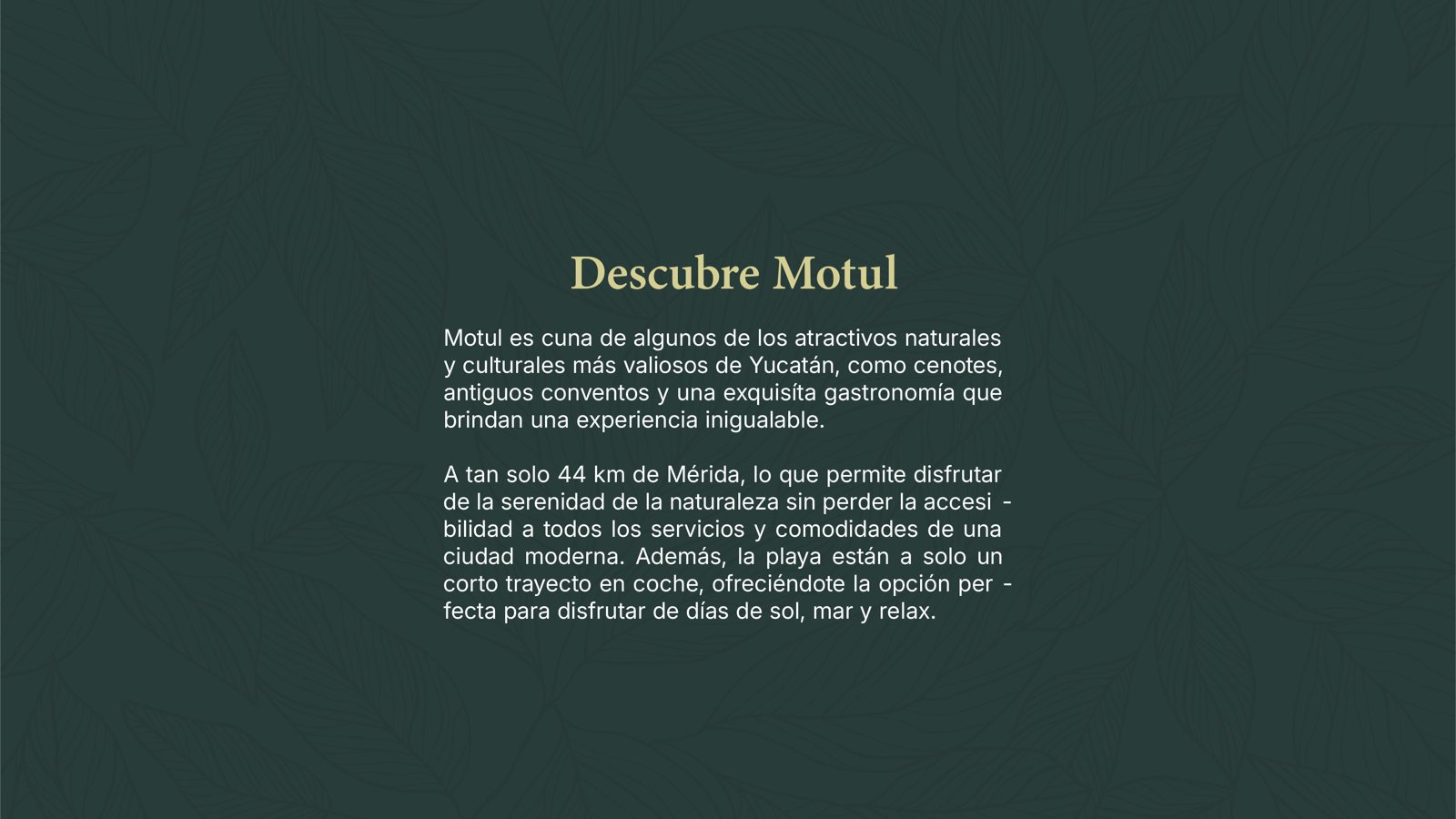 Nueva Motul — 3