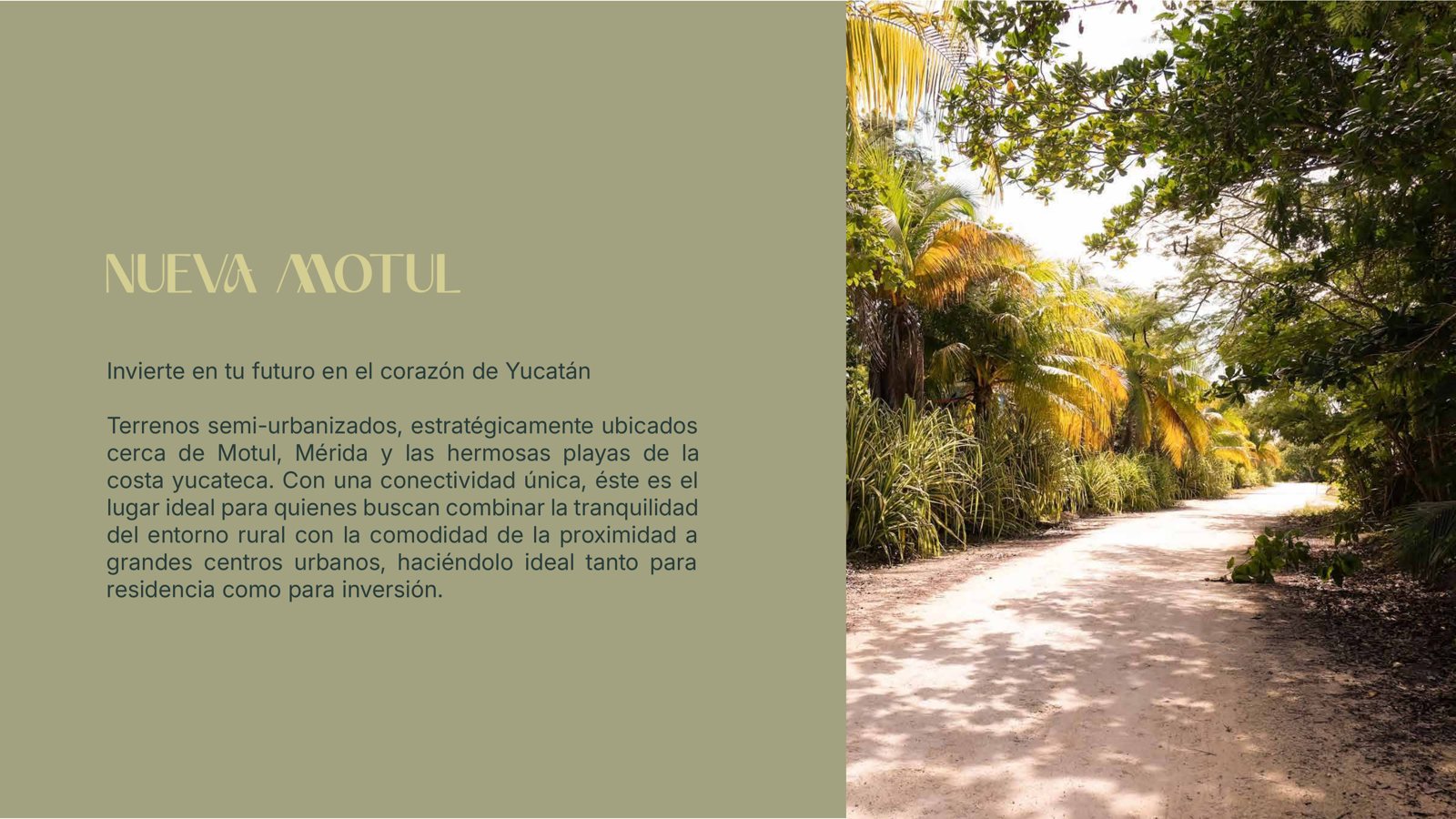 Nueva Motul — 4