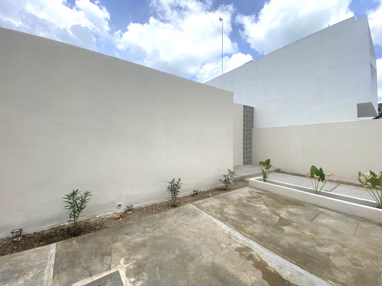 Conkal — 15