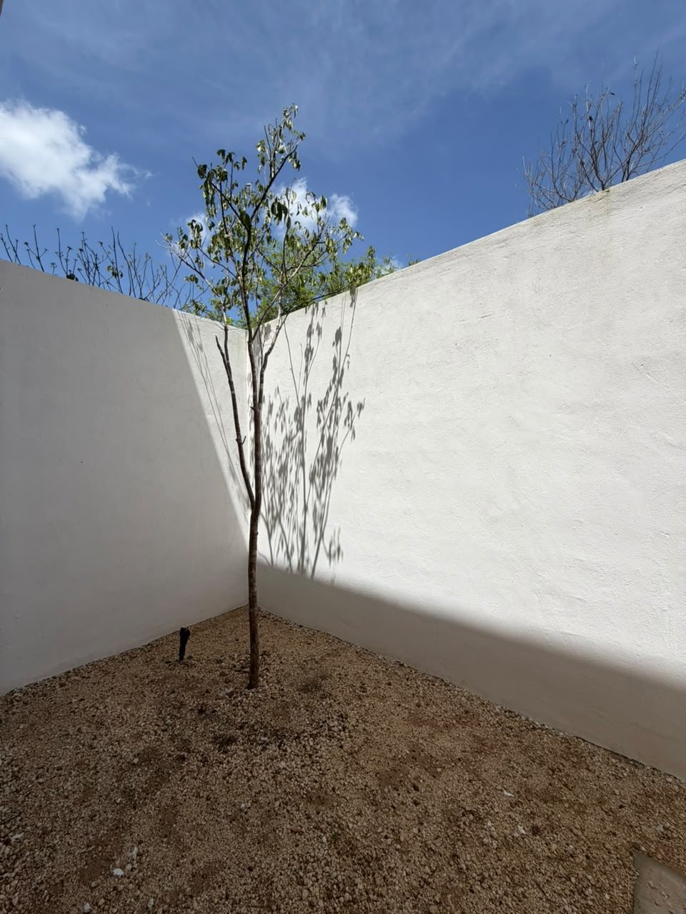 Temozón Norte — 5